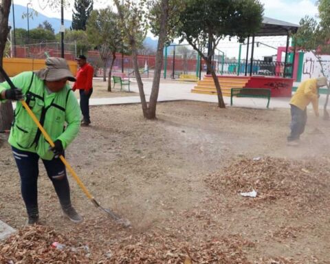 Trabajadores realizando limpieza.