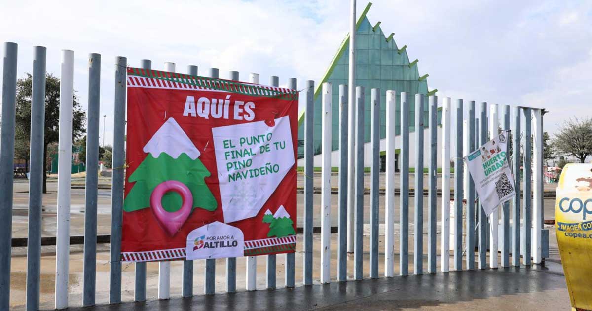 Exterior de un entro de acopio para pinos de Navidad en Saltillo.