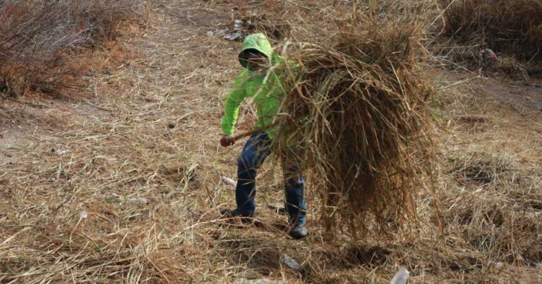 Trabajador realizando labores de limpieza.