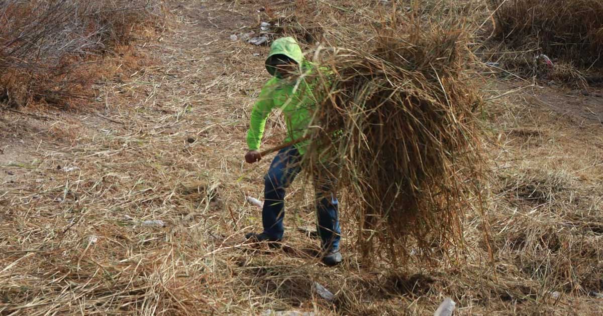 Trabajador realizando labores de limpieza.