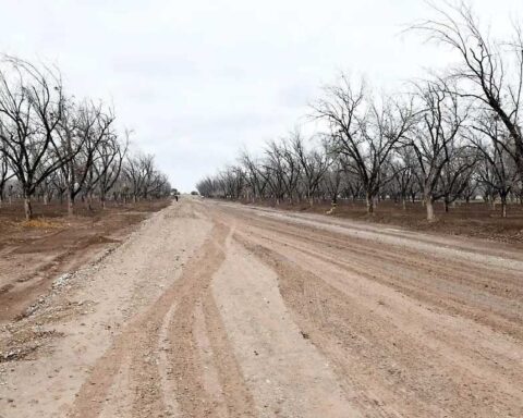 Camino de terracería.