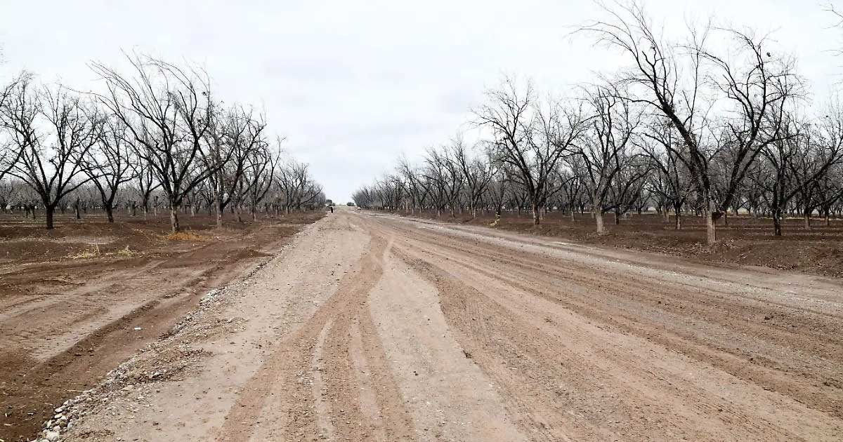 Camino de terracería.