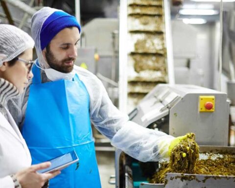 Personas trabajando con alimentos.