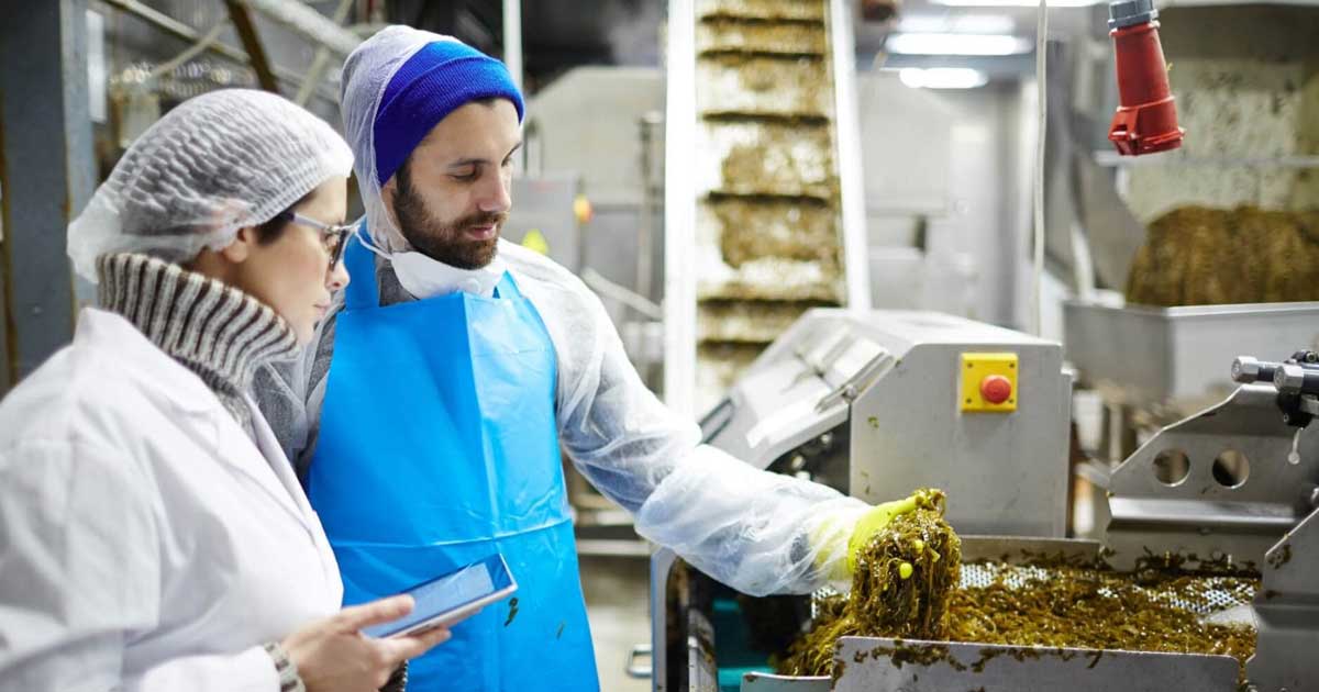 Personas trabajando con alimentos.