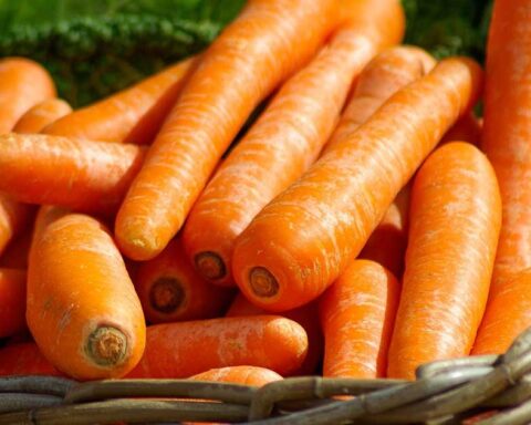 Zanahorias en una canasta.