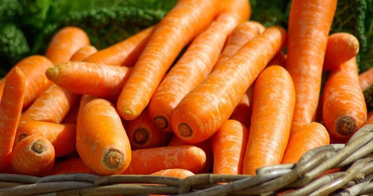 Zanahorias en una canasta.