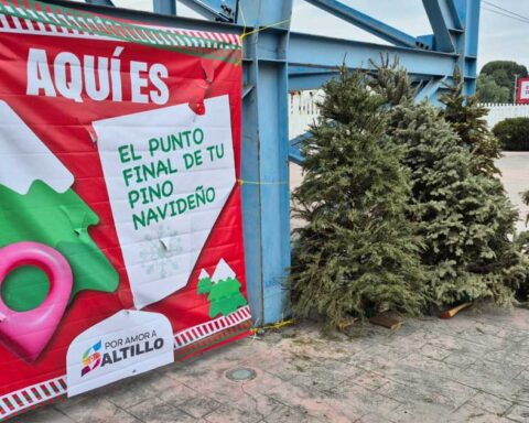 Pinos navideños al exterior de un centro de acopio en Saltillo.