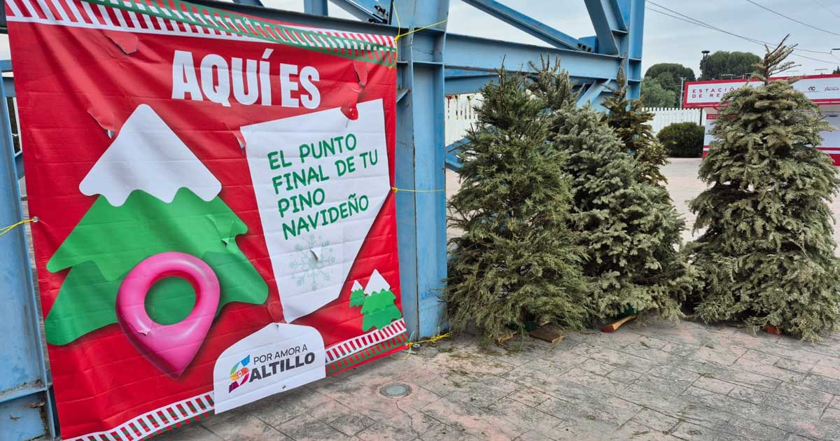 Pinos navideños al exterior de un centro de acopio en Saltillo.