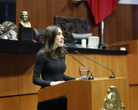 Cecilia Guadiana, senadora por Morena, en tribuna.