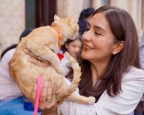 La Presidenta del DIF Municipal de Ramos Arizpe mientras sostiene un gato.