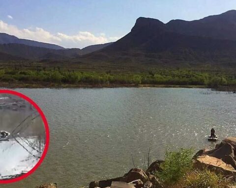 Avistamiento de cocodrilos en presa de Ramos Arizpe.