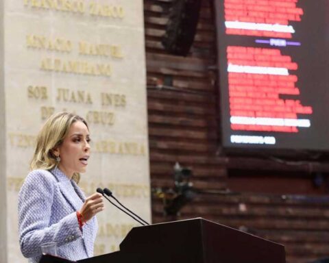 Diputada federal Verónica Martínez.