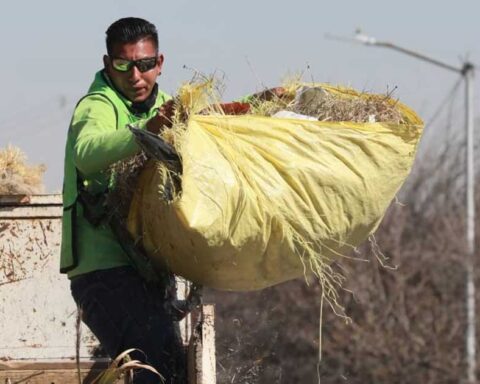 Trabajador llevando un bulto de maleza tras limpiar un arroyo en Saltillo.