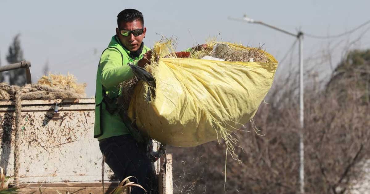 Trabajador llevando un bulto de maleza tras limpiar un arroyo en Saltillo.