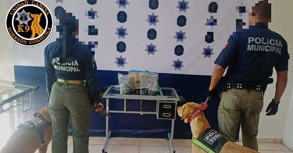 Policías y agentes caninos de la unidad K9 con la mariguana asegurada.