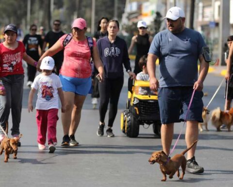 Personas y mascotas en la Ruta Recreativa de Saltillo.
