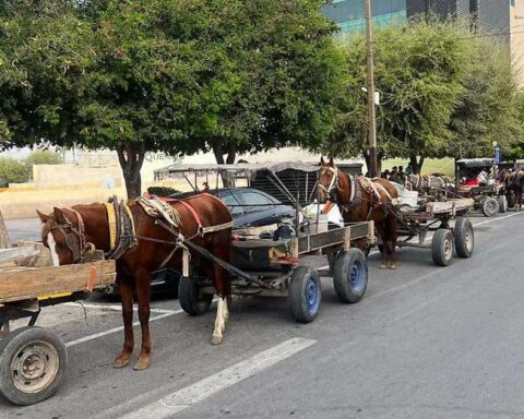 Carromateros en Torreón.