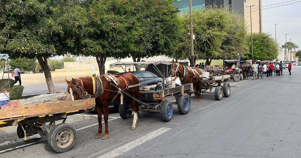 Carromateros en Torreón.