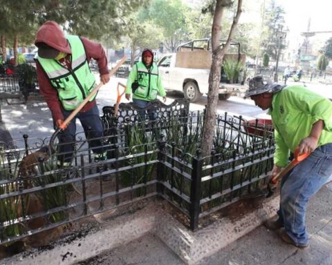Trabajadores realizando labores de reforestación en Saltillo.