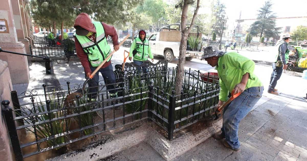Trabajadores realizando labores de reforestación en Saltillo.