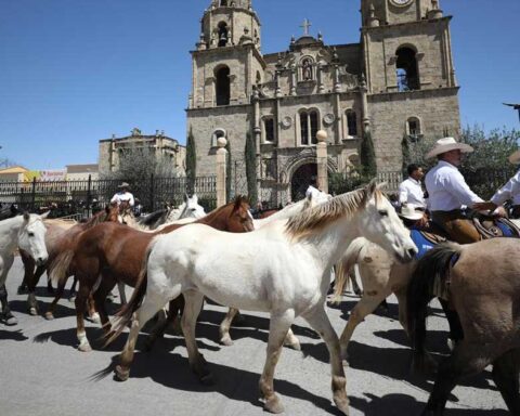 Caballos caminando en la Arreeada Múzquiz 2026.