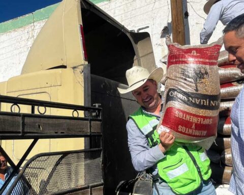 Entrega de apoyo ganadero en ejido de Saltillo.