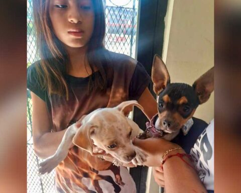 Una joven sosteniendo a dos perritos en Ramos Arizpe.