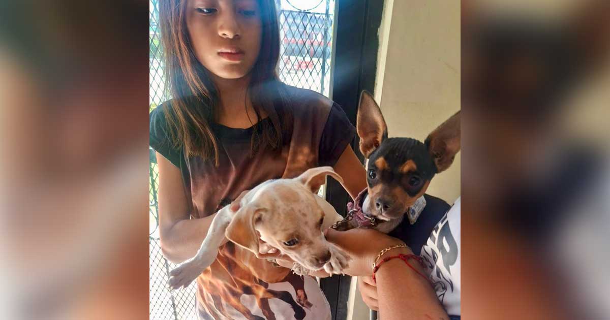 Una joven sosteniendo a dos perritos en Ramos Arizpe.