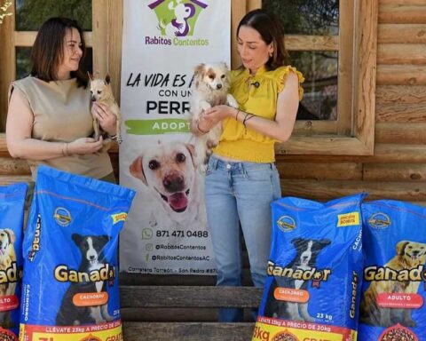 Verónica Martínez, presidenta del PRI en Torreón, sosteniendo un perro y rodeada de costales de croquetas.