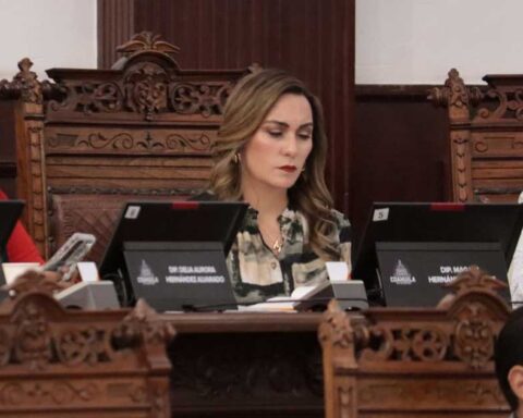 Diputada local de Morena en Coahuila Magaly Hernández.
