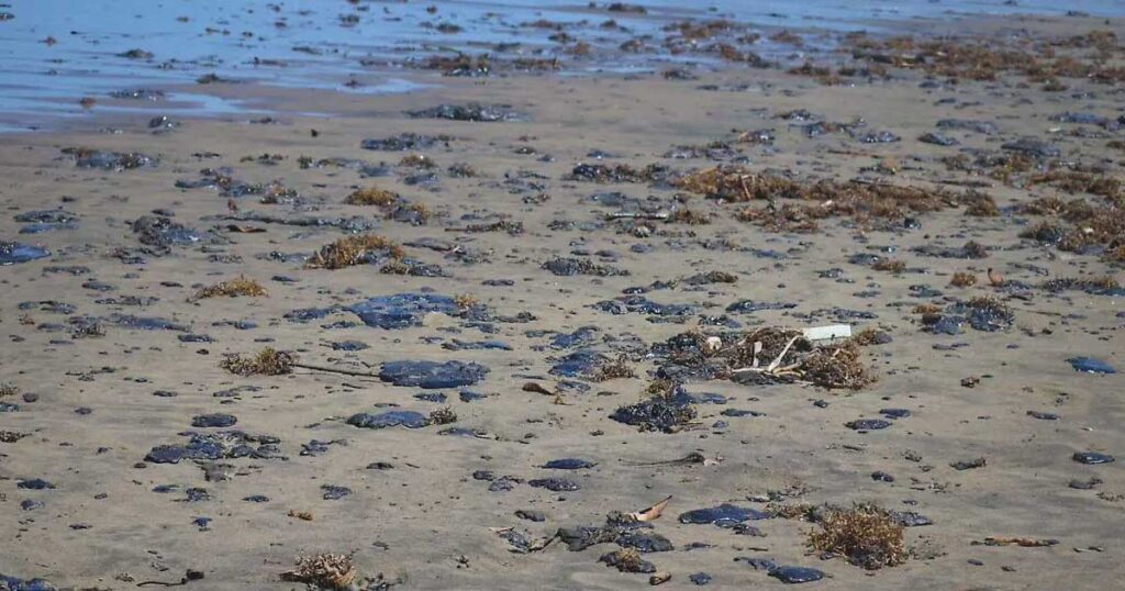 Playa con restos del hidrocarburo derramado en el Golfo de México.