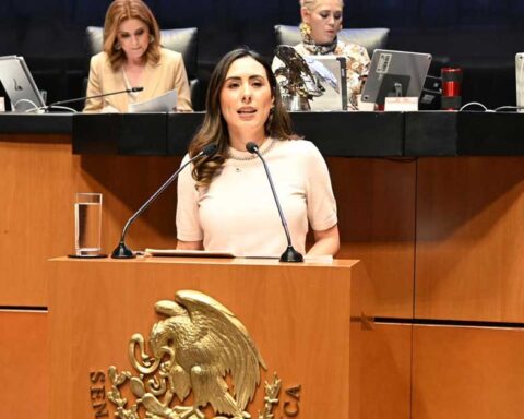 Cecilia Guadiana, senadora por Morena, en tribuna.
