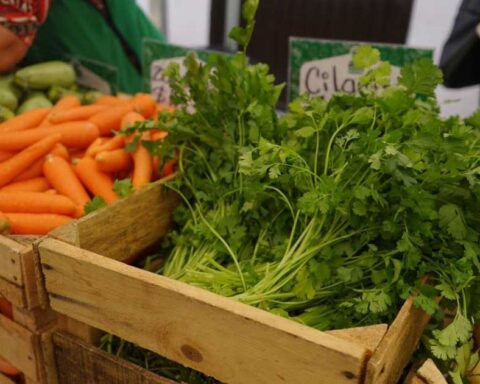 Zanahorias y cilantro en el Mercadito Mejora Coahuila.