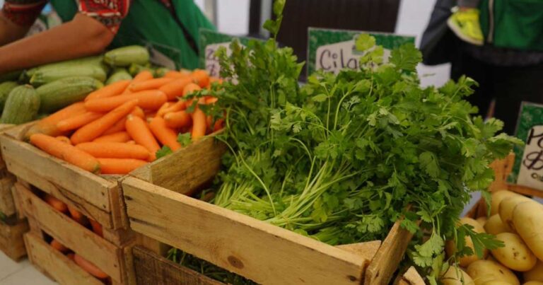 Zanahorias y cilantro en el Mercadito Mejora Coahuila.