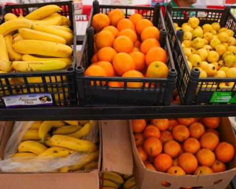 Canastas con diferentes frutas en Ramos Arizpe.