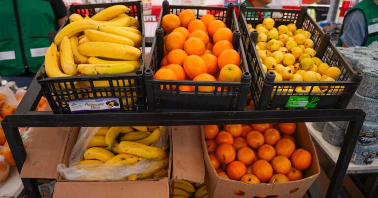 Canastas con diferentes frutas en Ramos Arizpe.