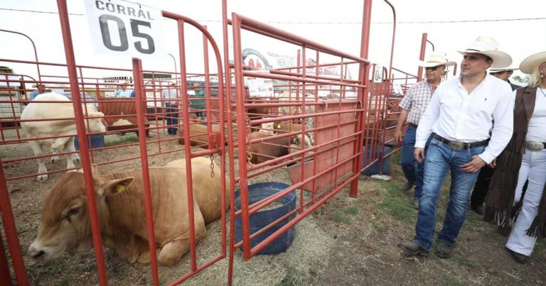 Ganado en Coahuila.