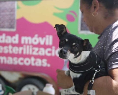 Una mujer sosteniendo a un perro en la jornada de esterilización en Saltillo.