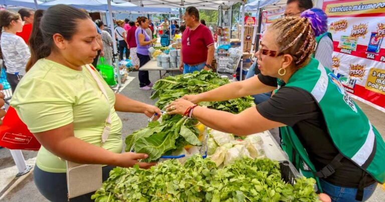 Mercadito en Ramos Arizpe.