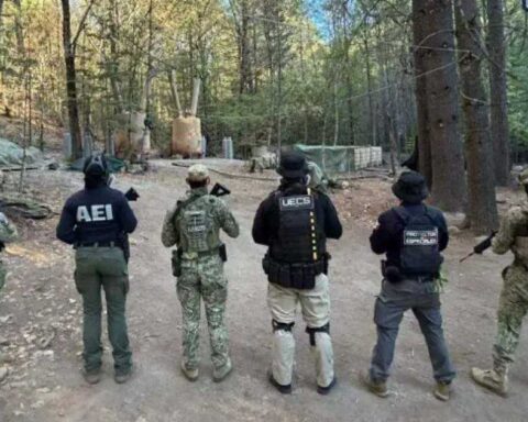 Agentes de distintas fuerzas de seguridad.