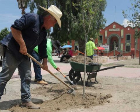 Trabajador realizando labores en parque lineal de Saltillo.