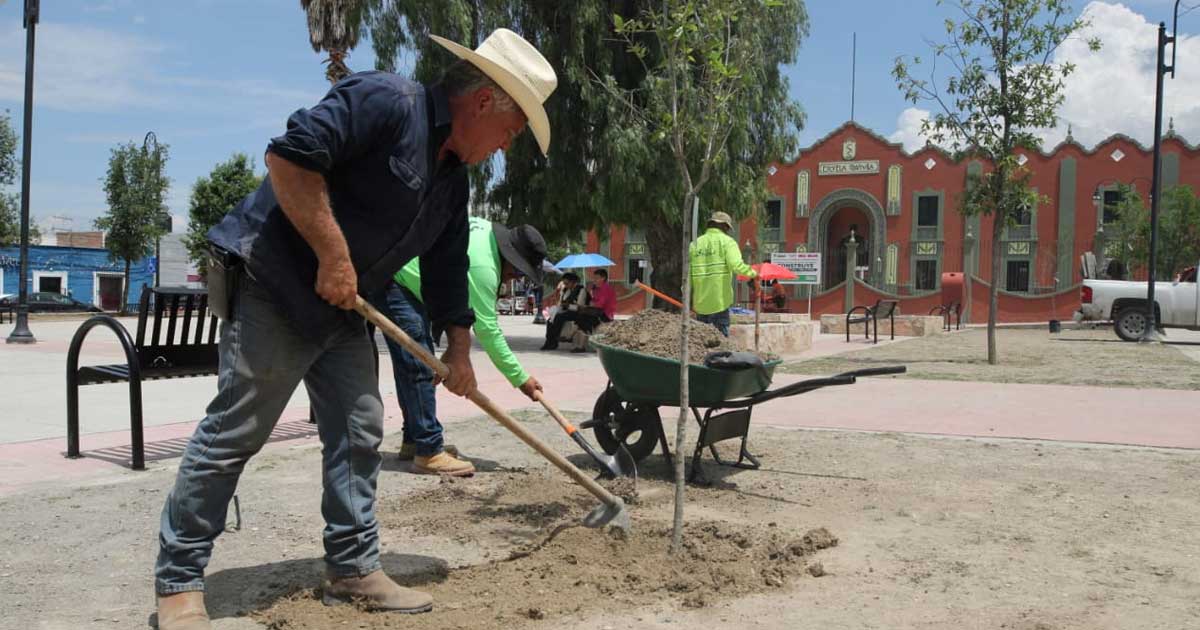 Trabajador realizando labores en parque lineal de Saltillo.