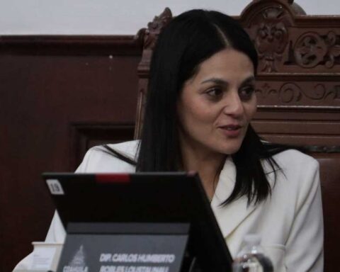 Luz Elena Morales, diputada de Coahuila.