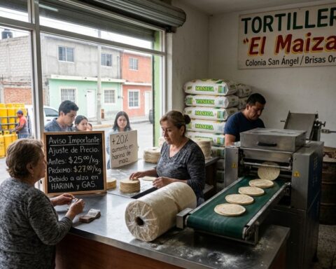 Saltillo tortilla
