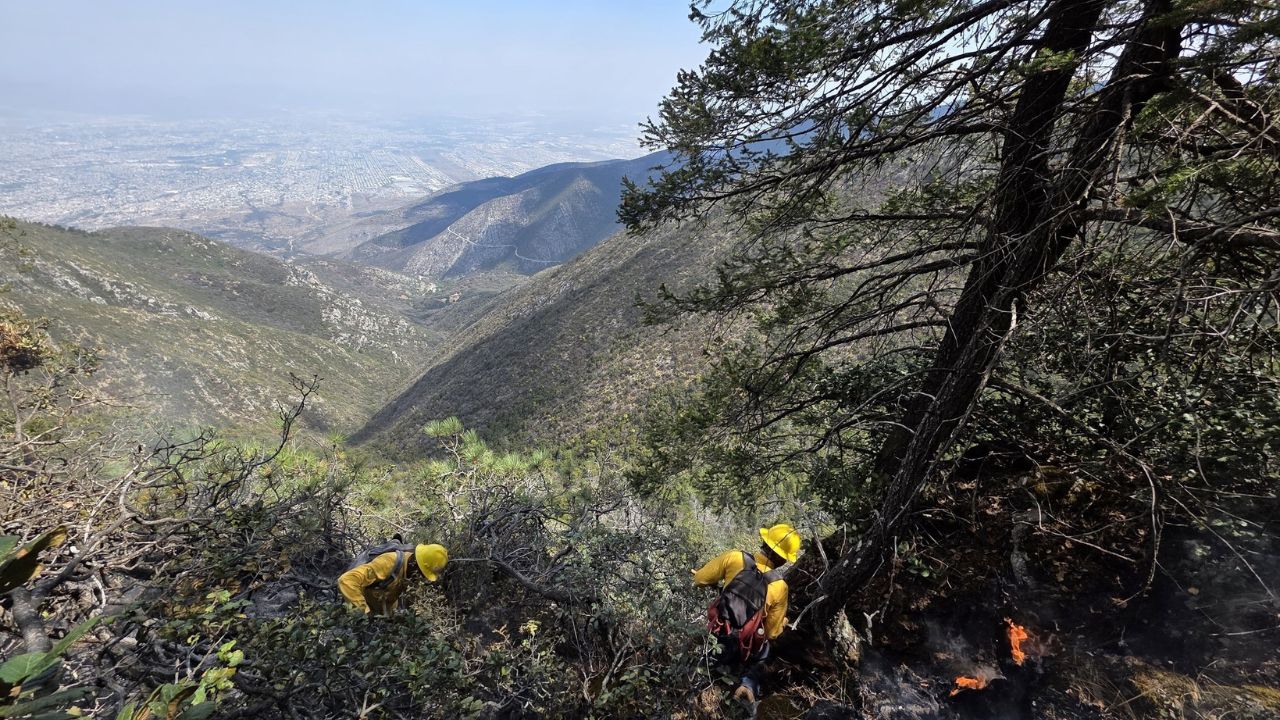 Sierra de Zapalinamé