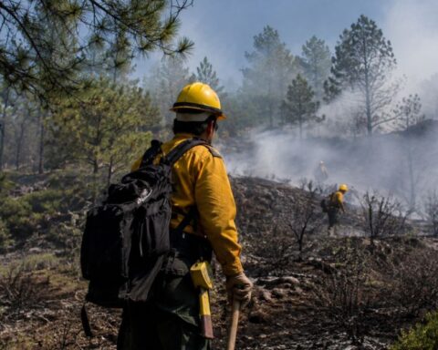 Incendios Coahuila