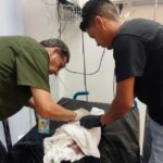 Bebé atendido por un médico y el paramédico que simuló encontrarlo.