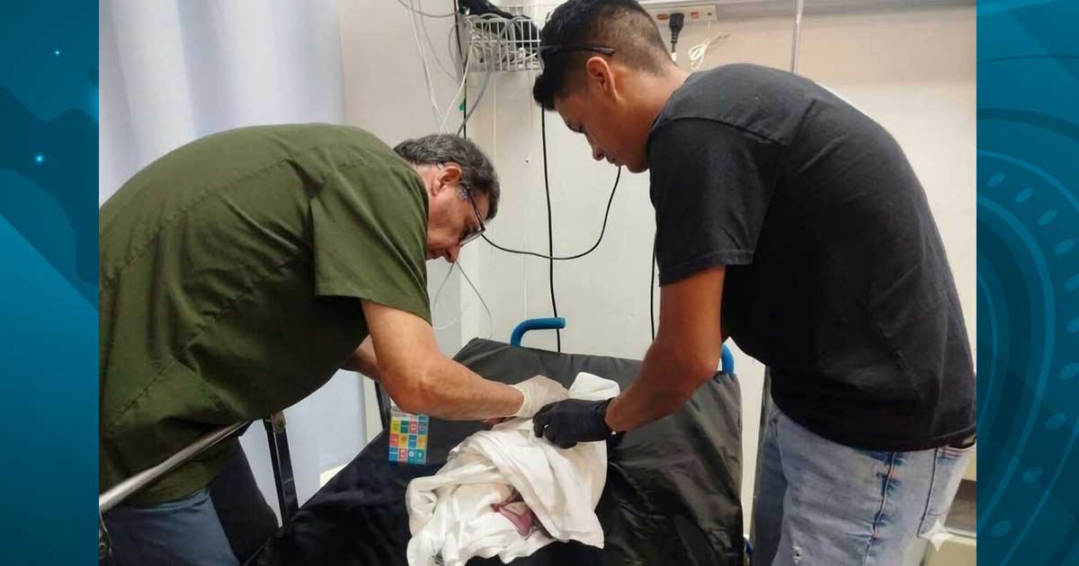 Bebé atendido por un médico y el paramédico que simuló encontrarlo.