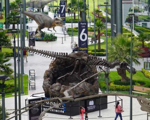 Expo del Museo del Desierto en el AIFA.