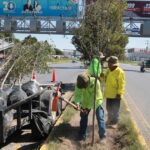 Trabajadores reforestando un camellón en Saltillo.
